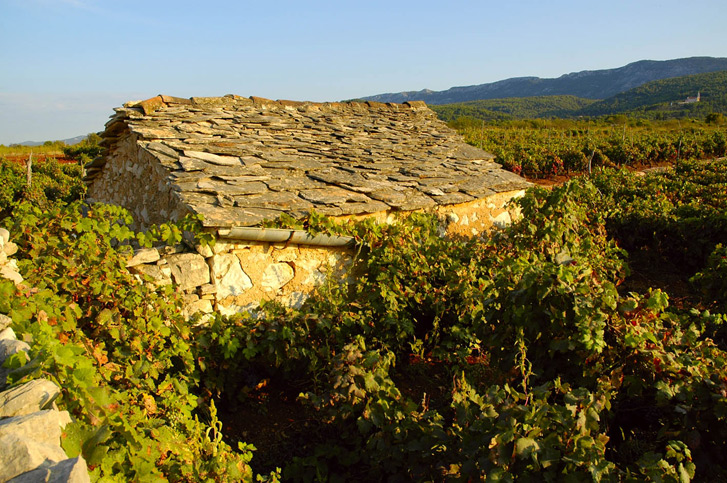 Lokaliteti Starogradsko Polje